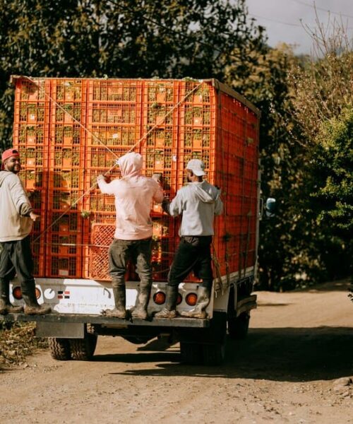 Entrega omnicanal: transforma tu logística y ventas en Colombia